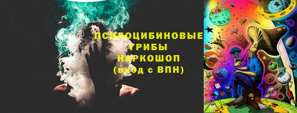 крисы Белокуриха