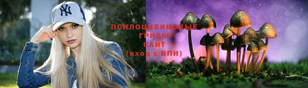 амф Беломорск