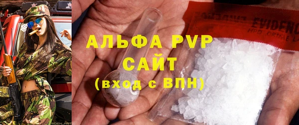 крисы Белокуриха