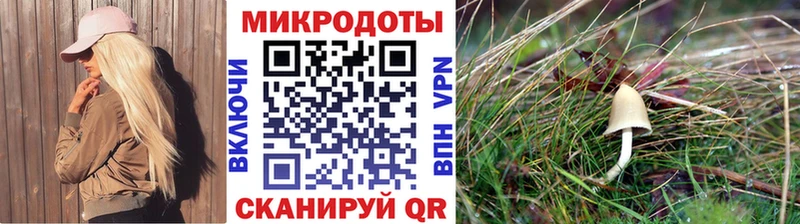 Псилоцибиновые грибы Cubensis  Кочубеевское 